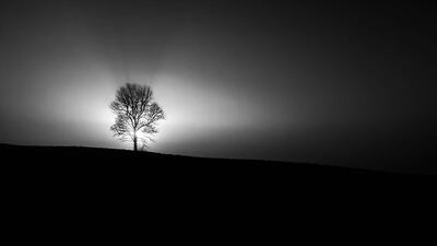 Landscape bronze mention: Alone by Ken Evans