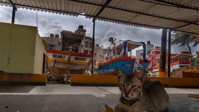 Fishing boats anchored at Juhu Koliwada. AP