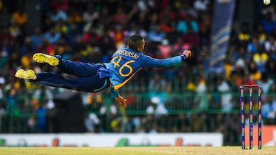 Sri Lanka's Jeffrey Vandersay dives in the field. AFP