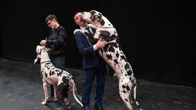 A man is embraced by a Great Dane dog on the third day of the Crufts dog show at the National Exhibition Centre in Birmingham, central England. AFP