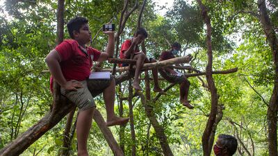 Sri Lankan children sit on tree branches as they access their online lessons from a forest reserve in their village in Bibila, Sri Lanka. Climbing rocks and sitting on tree tops is not part of their curriculum but children in villages surrounding the capital city are doing that to be able to catch mobile signals to access their online classes. The digital divide fuelled by uneven internet access and high data costs has forced many students out of the formal education system in Sri Lanka.