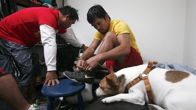 Manny Pacquiao ties his shoes in Los Angeles last year as he prepares for afternoon training and spends a minute with his dog "Pacman". Mike Young for The National / April 4, 2014
