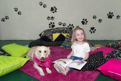 A girl reads with Adelaide the Mixed Breed Reading Dog. Adelaide is currently being trained by Reading Dogs Abu Dhabi. Reem Mohammed / The National