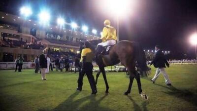 Abu Dhabi, UAE, March 3, 2013:The Abu Dhabi Equestrian Club's 13th Race Meeting was held today. In the sixth and final race saw Jockey James Doyle and the horse Canwinn take first place.Mr. Doyle is wearing a yellow jersey and helmet.