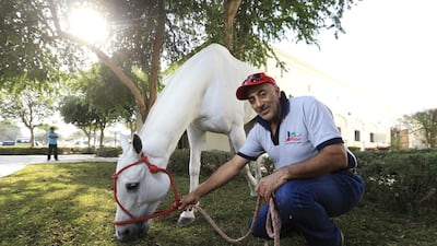 Abdelrahman AbdAllah Abbar with his favourite pony Chilandrina at his stable at Dubai Polo and Equestrian Club. Sarah Dea / The National