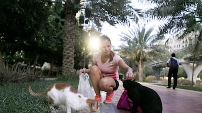 A reader says we ought to treat stray animals with compassion. Reem Mohammed / The National