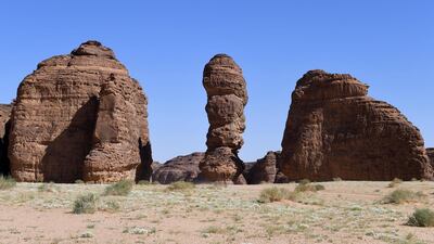 The Sharaan reserve is the first step by the Royal Commission for AlUla to re-establish the plants and wildlife that once flourished in the area