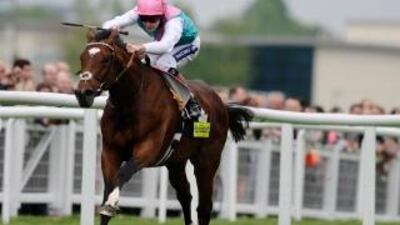 Prince Khalid Abdullah's Frankel has set the benchmark for the rest.