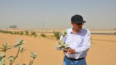 Professor Ali Al Keblawy with the auricular shrub. Courtsey: Professor Al Keblawy