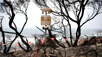 Burnt bicycles are left by the beach amongst burnt trees where people had previously taken shelter during a fire on New Years' Eve in Mallacoota, Australia. Reuters