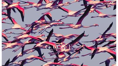 Gore by the Deftones. Courtesy Warner Bros Records