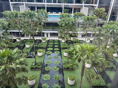 View from our room of interior garden and swimming pool at Four Seasons Bangkok hotel. Photo: Christine Harding