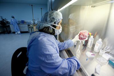 New treatments for thalassaemia involve gene therapy, which in some cases has proved very successful. Sarah Dea / The National