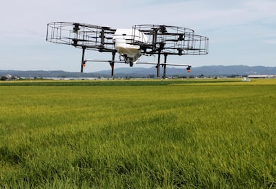 Nileworks' automated drone flies over rice plants. Reuters