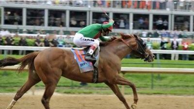 Animal Kingdom suffered a slab fracture on his near hind leg last year, and the same leg was sore after training today.