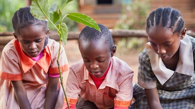 Taylors of Harrogate became a carbon-neutral business last year.