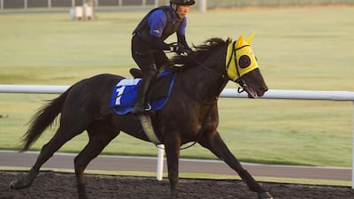 Brightline, who will run in the Godolphin Mile, is one of eight horses from Japan – the country’s biggest entourage since 2007. Caren Firouz / Reuters