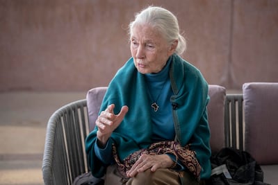 Dr Jane Goodall is opening her first regional office at Expo City Dubai to help protect the planet as part of a global youth outreach initiative. Antonie Robertson / The National