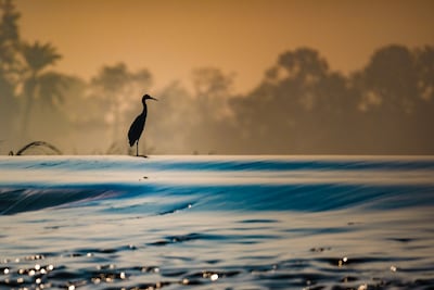 Ahmed Ragab's winning shot. Photo: Hipa