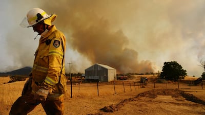 A Rural Fire Service firefighter Trevor Stewart views a flank of a fire in Tumburumba, Australia. Getty