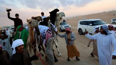 Batoola the camel was named a beauty queen / Satish Kumar for the National