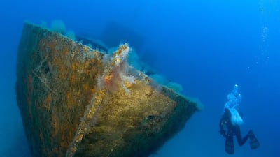 Diving off the coast of Malta. Photo by Jane Morgan