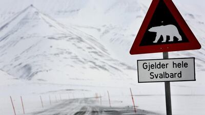 Picture taken on February 25, 2008, shows a road sign sporting a polar bear notifing motorists of their presence outside the arctic town of Longyearbyen in Norway. AFP Photo