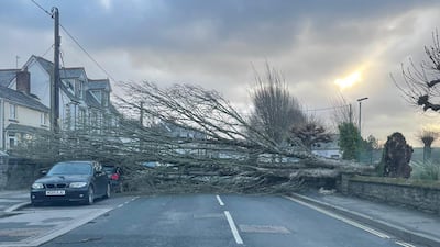 A fallen tree blocks Egloshayle Road in Wadebridge, Cornwall. PA