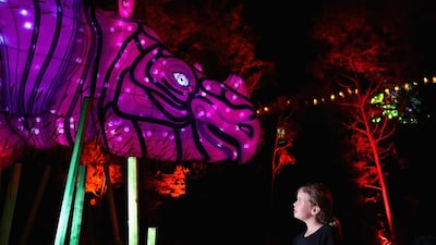 A girl looks at a Sumatran Rhino light sculpture during a media preview of Vivid Sydney illuminated displays at Taronga Zoo in Sydney, Australia. Cameron Spencer / Getty Images