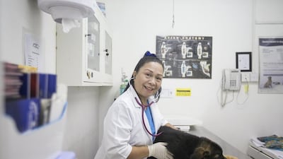 Dr Gaye Miranda Paita at the Canadian Veterinary Clinic in Abu Dhabi where she is the resident veterinarian. Mona Al Marzooqi / The National