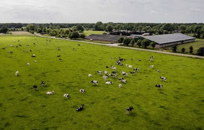 The agriculture industry is responsible for a 10th of greenhouse gas emissions in the UK. EPA