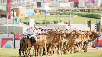 Camel riders participate in a reception for Sheikh Mohamed at the Amiri Diwan. Abdulla Al Neyadi / Presidential Court
