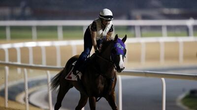 A jockey rides California Chrome on the track at Meydan Racecourse during preparations for the Dubai World Cup 2015 in Dubai, United Arab Emirates, 24 March 2015. EPA/ALI HAIDER