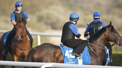 Sheikh Mohammed's newest horse Belardo, not pictured, will wear the blue silks of Godolphin. Andrew Henderson / The National