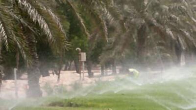 A sprinkler system on the roadside near Abu Dhabi airport. The capital's index will show how the emirate is doing in key areas, such as air, water, waste, biodiversity and environmental health and safety.