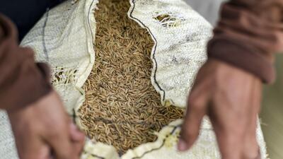 The decision also prohibits the export of rice originating from India that was imported after July 20. Bloomberg