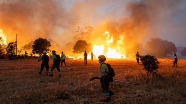 Residents and firefighters work to extinguish an advancing wildfire near Formariz in Zamora, Spain. Reuters