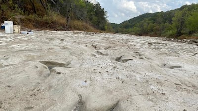 More than 60 per cent of Texas experienced drought conditions last week following a heatwave. Photo: Dinosaur Valley State Park