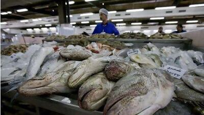 Hammour for sale at the market in Madinat Zayed. The Emirates Wildlife Society wants to encourage residents to buy more sustainable species, such as fascar and jesh. Jaime Puebla / The National