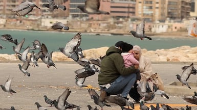 Pigeons fly over the corniche as people displaced from southern Lebanon arrive in the coastal city of Tyre. Reuters