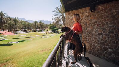 JA Hatta Fort Hotel Dubai, the oldest hotel in Hatta, welcomes dogs. Photo: JA Hotels & Resorts