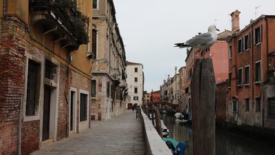A seagull is seen at an empty fondamenta della Misericordia in Venice, Italy. Getty Images