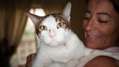 Mrs Lyntott said she had not reported the case to authorities yet as she did not know who to approach.