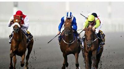 Seraphin Du Paon, left, came from the outside on the final stretch to win the Kahayla Classic yesterday.