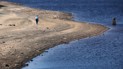 A woman walks with her dog along a dry section of the bed of the Baitings Reservoir in England after a prolonged period without rain, which resulted in water levels dropping last week. Reuters
