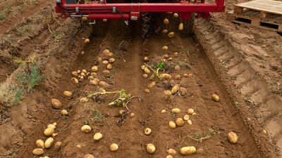 The tour was organised by Abu Dhabi Farmers’ Services Centre (FSC), an independent body with links to the Food Control Authority (FCA), to highlight the challenges farmers face in growing vegetables in this climate and how they plan to grow their harves???