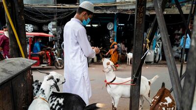 A boy feeds a goat in the old quarter of New Delhi ahead of Eid Al Adha. AFP