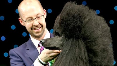 Jason Lynn with Ricky the Standard Poodle, as they celebrate winning the Best in Show category of Crufts 2013 during the final day at Crufts Dog Show on March 9, 2014 in Birmingham, England. Said to be the largest show of its kind in the world, the annual four-day event, features thousands of dogs, with competitors travelling from countries across the globe to take part. Crufts, which was first held in 1891 and sees thousands of dogs vie for the coveted title of Best in Show. Matt Cardy / Getty Images