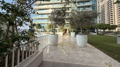 The communal garden area