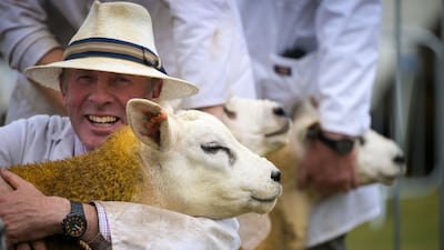 British sheep meat exports, including offal, were worth £277 million between January and July and volumes stood at 43,374 tonnes, HM Revenue and Customs figures show. Getty Images
